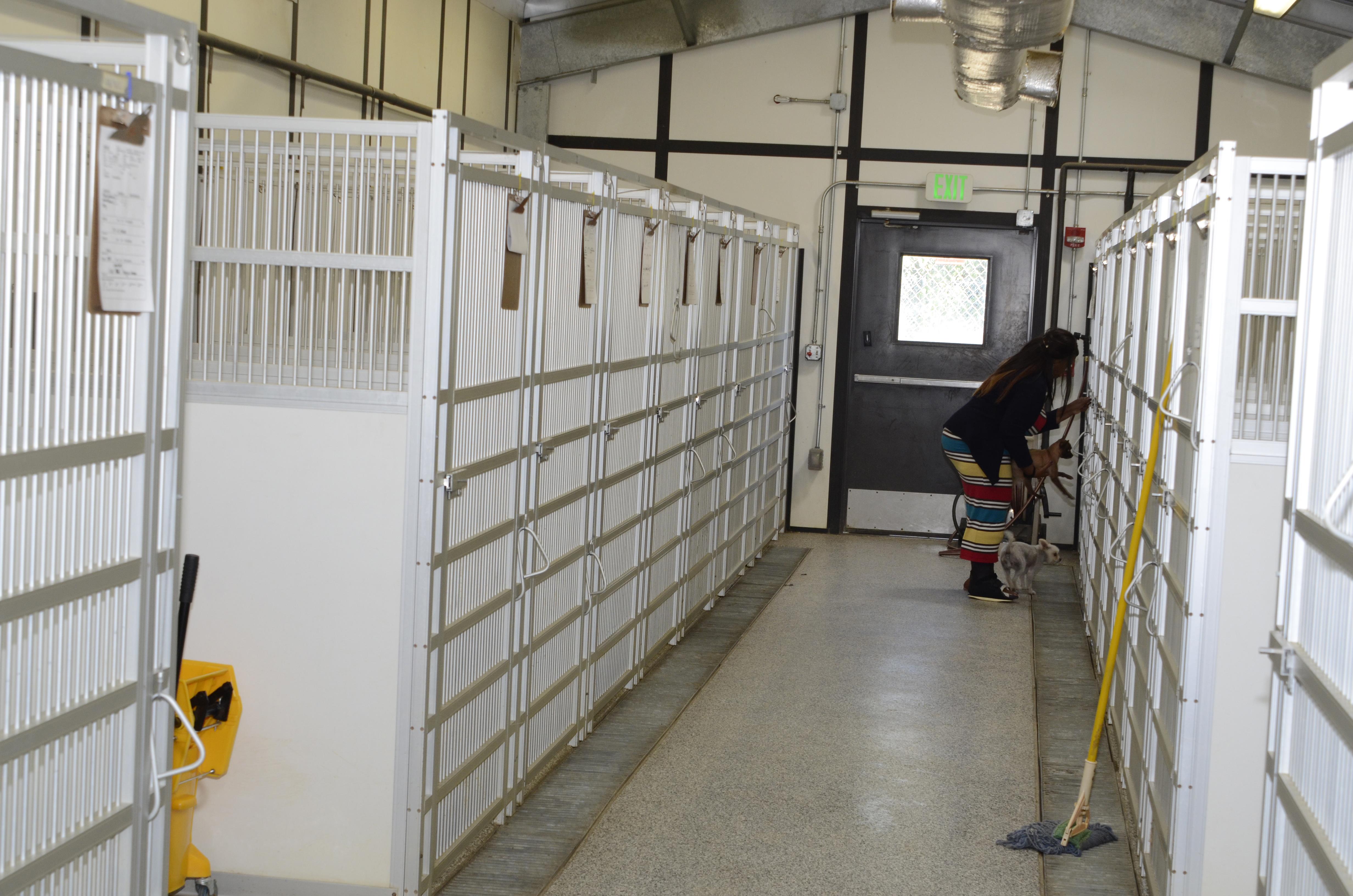 Family pet care hot sale center
