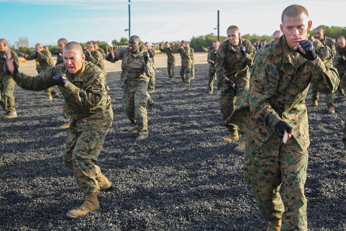 Recruits of Fox Company, 2nd Recruit Training Battalion, execute vertical slashes with dummy knives during a Marine Corps Martial Arts Program session at Marine Corps Recruit Depot San Diego, Nov. 30. Recruits were instructed to partner up with the recruit next to them and take turns executing each technique. Earning a tan belt comes after recruits complete the basic stage of MCMAP in recruit training. Marines have the opportunity to obtain higher levels in their Marine Corps careers. Today, all males recruited west of the Mississippi are trained at MCRD San Diego. The depot is responsible for training more than 16,000 recruits annually. Fox Company is scheduled to graduate Jan. 29.