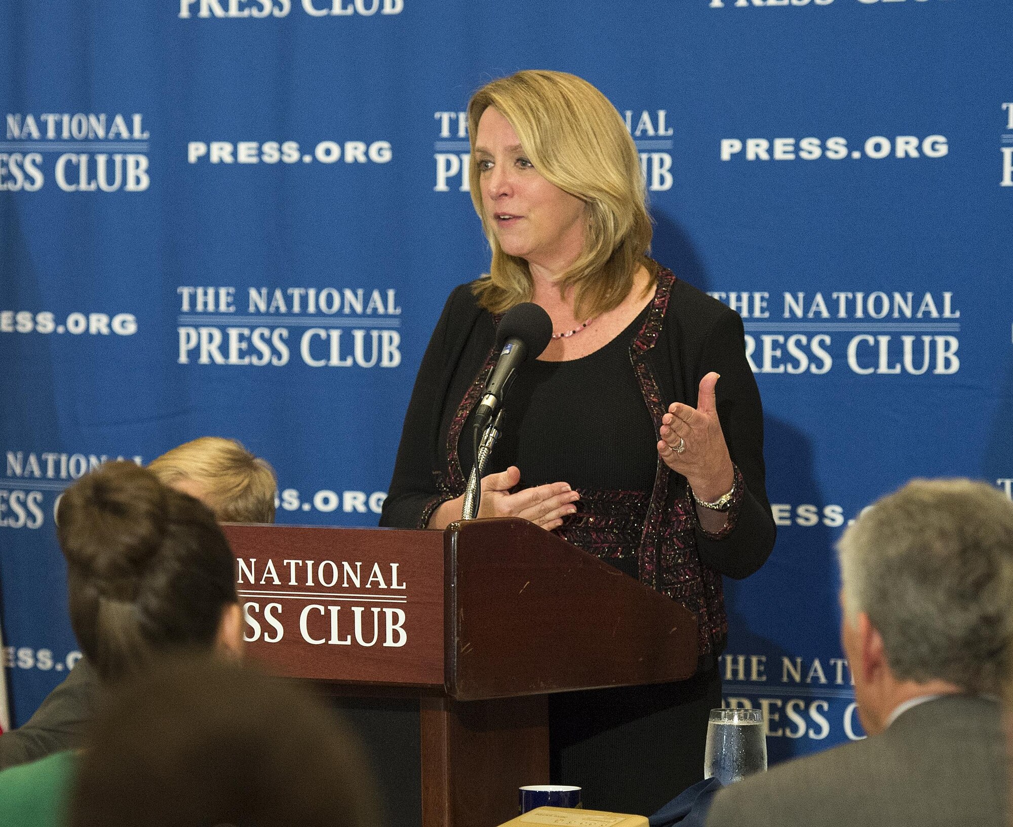 Air Force Secretary Deborah Lee James delivers remarks during a luncheon at the National Press Club in Washington, D.C., Dec. 2, 2015. James discussed her recent trip to the Middle East, Africa and Europe, where she met with military and civilian leaders as well as Airmen currently engaged in the fight against Daesh. (U.S. Air Force photo/Jim Varhegyi)