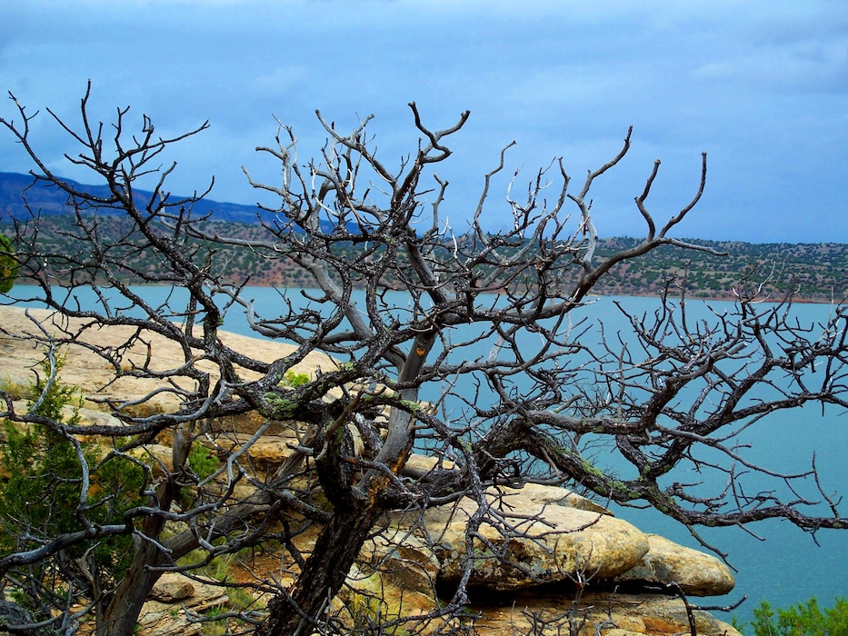 Abiquiu Lake as seen behind a tree, May 30, 2009. Photo by Maj. Andre Balyoz.