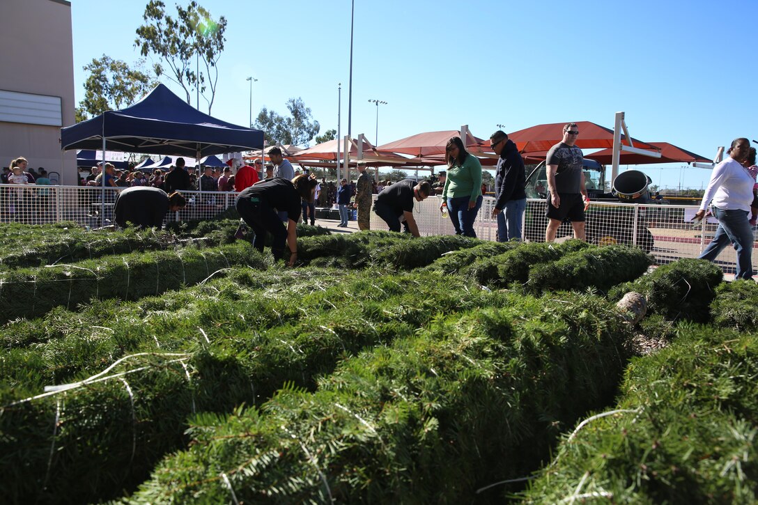 Service members and families pick out Christmas trees during the Trees for Troops event aboard Marine Corps Air Station Miramar, Calif., Dec. 2. Trees for Troops is sponsored by the Christmas Spirit Foundation and FedEx and delivers more than 18,000 trees to more than 60 military bases worldwide every year. (U.S. Marine Corps photo by Cpl. Alissa P. Schuning/Released)