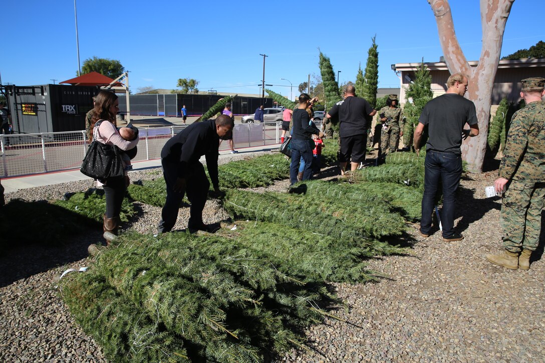 Service members and families pick out Christmas trees during the Trees for Troops event aboard Marine Corps Air Station Miramar, Calif., Dec. 2. Trees for Troops is sponsored by the Christmas Spirit Foundation and FedEx and delivers more than 18,000 trees to more than 60 military bases worldwide every year. (U.S. Marine Corps photo by Cpl. Alissa P. Schuning/Released)