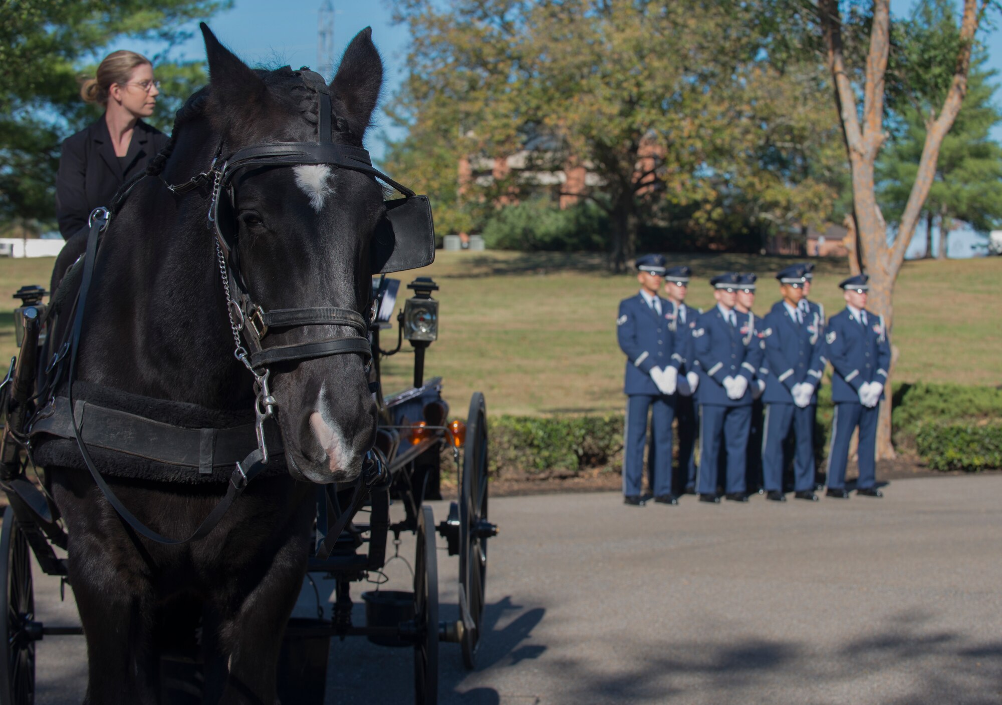 Little Rock Air Force Base Honor Guardsmen wait for a hearse carrying retired U.S. Air Force Col. Michael Denington to arrive Nov. 19, 2015, at West Tennessee State Veteran's Cemetery. Little Rock Air Force Base honor guard was named Air Mobility Command’s base honor guard team of the year for 2014. (U.S. Air Force photo by Senior Airman Scott Poe)