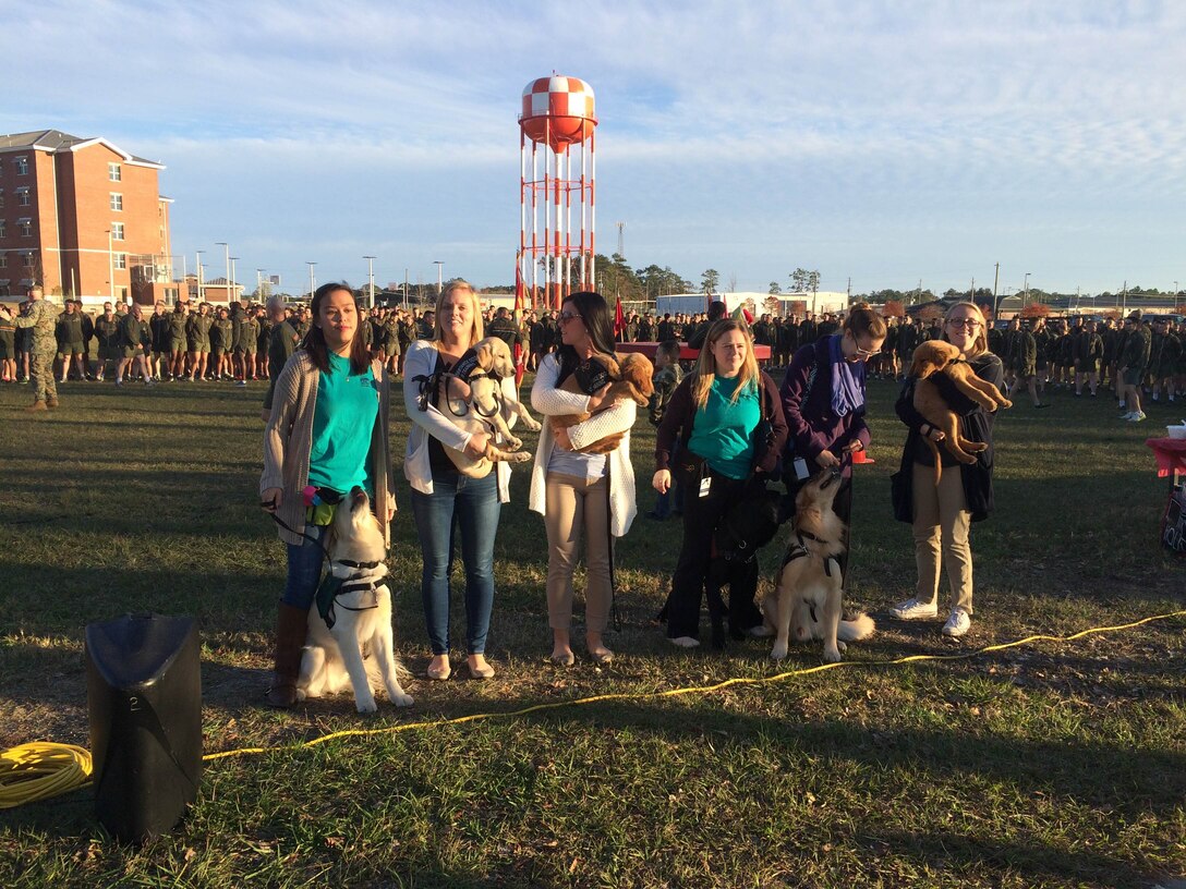Representatives from Paws for Veterans, a non-profit community based organization that provides service dogs to veterans; brought dogs currently in training to the Marine Corps Engineer School Holiday Fun Run to acclimatize the dogs to loud noises, large crowds, and various stimuli at Courthouse Bay, Camp Lejeune, N.C. on Dec. 4, 2015.  