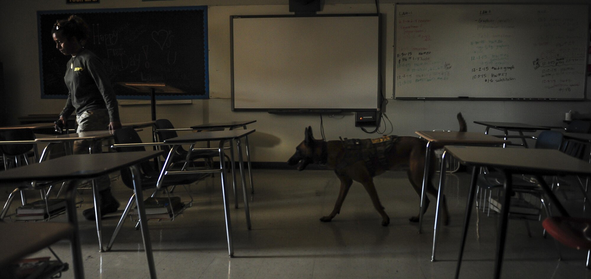 Sinead Imbaro, a participant from Miami, Fla., and K-9 Magnus Ares, search a Ft. Walton Beach High School classroom during the Inaugural Gulf Shores Detection Showdown, Dec. 5, 2015. The Gulfarium Marine Adventure Park, Emerald Coast Convention Center, Fort Walton Beach High School, and the air park, here, were used as locations searched by the K-9 teams. (U.S. Air Force photo by Senior Airman Meagan Schutter)