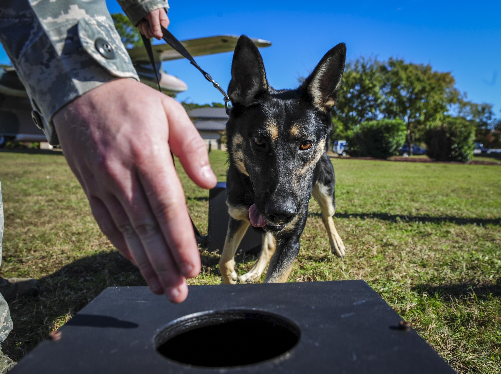 Staff Sgt. Brandon Hardy, a military working dog handler with the 96th Test Wing Security Forces Squadron, leads his military working dog Ajda, to a test box during the Inaugural Gulf Shores Detection Showdown at Hurlburt Field, Fla., Dec. 5, 2015. The Gulfarium Marine Adventure Park, Emerald Coast Convention Center, Fort Walton Beach High School and the air park, here, were used as locations searched by the K-9 teams. (U.S. Air Force photo by Senior Airman Meagan Schutter)