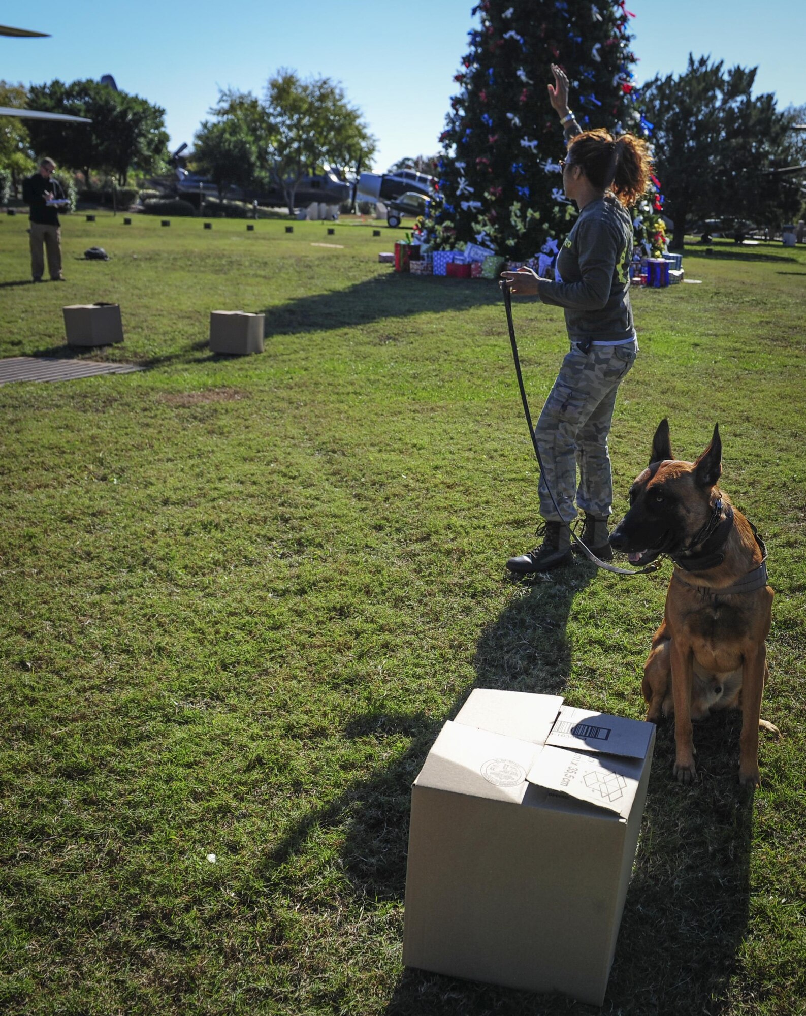 Sinead Imbaro, a participant from Miami, Fla., signals that her K-9, Magnus Ares, detects a narcotic odor during the Inaugural Gulf Shores Detection Showdown at Hurlburt Field, Fla., Dec. 5, 2015. The Gulfarium Marine Adventure Park, Emerald Coast Convention Center, Fort Walton Beach High School and the air park, here, were used as locations searched by the K-9 teams. (U.S. Air Force photo by Senior Airman Meagan Schutter)