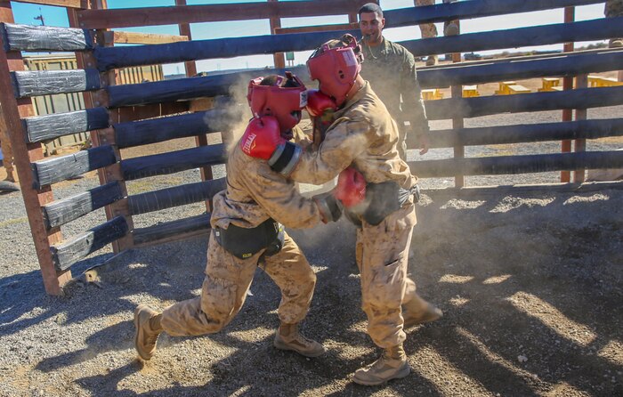Private Robert J. Bailey, Platoon 3267, Mike Company, 3rd Recruit Training Battalion, spars with another recruit during body boxing at Edson Range, Weapons and Field Training Battalion, Marine Corps Base Camp Pendleton, Calif., Dec. 2. Recruits were instructed to refrain from delivering headshots to prevent disabling their opponent. Each body boxing match lasted for about a minute, and the recruits used that time to deliver body shots.