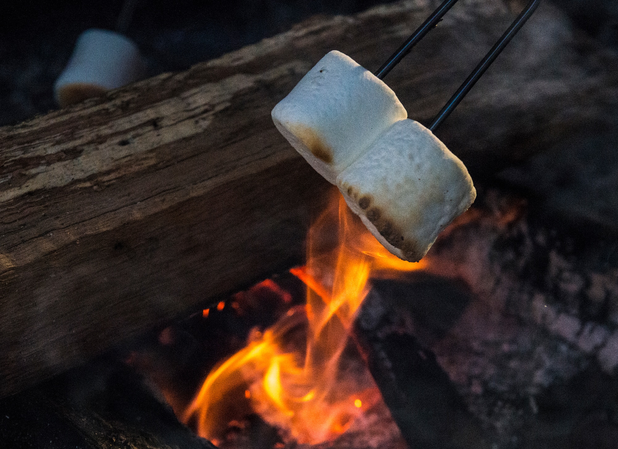 Guests roast marshmallows at the annual tree lighting ceremony, Dec. 4, 2015, at Moody Air Force Base, Ga. A vendor was set up with supplies to make s’mores during the event. (U.S. Air Force photo by Airman 1st Class Lauren M. Johnson/Released)