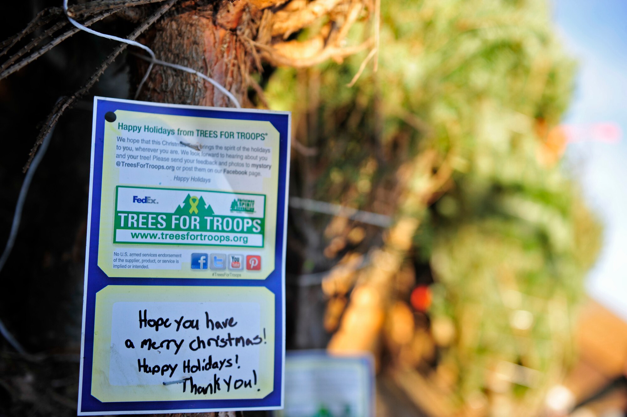 A card displays a handwritten note attached to a Trees for Troops Christmas tree at Ellsworth Air Force Base, S.D., Dec 4. 2015. Trees for Troops is a program created as a way for tree farmers to give back to the military for their service. (U.S. Air Force photo by Airman 1st Class James L. Miller/Released)