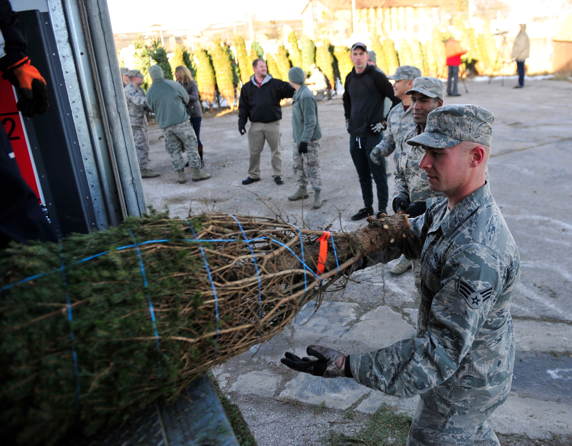 Senior Airman Michael Campbell, 28th Aircraft Maintenance Squadron crew chief, unloads a Christmas tree at Ellsworth Air Force Base, S.D., Dec. 4, 2015. Nearly 200 trees were donated by Wisconsin tree farmers for servicemembers and their families. (U.S. Air Force photo by Airman 1st Class James L. Miller/Released)