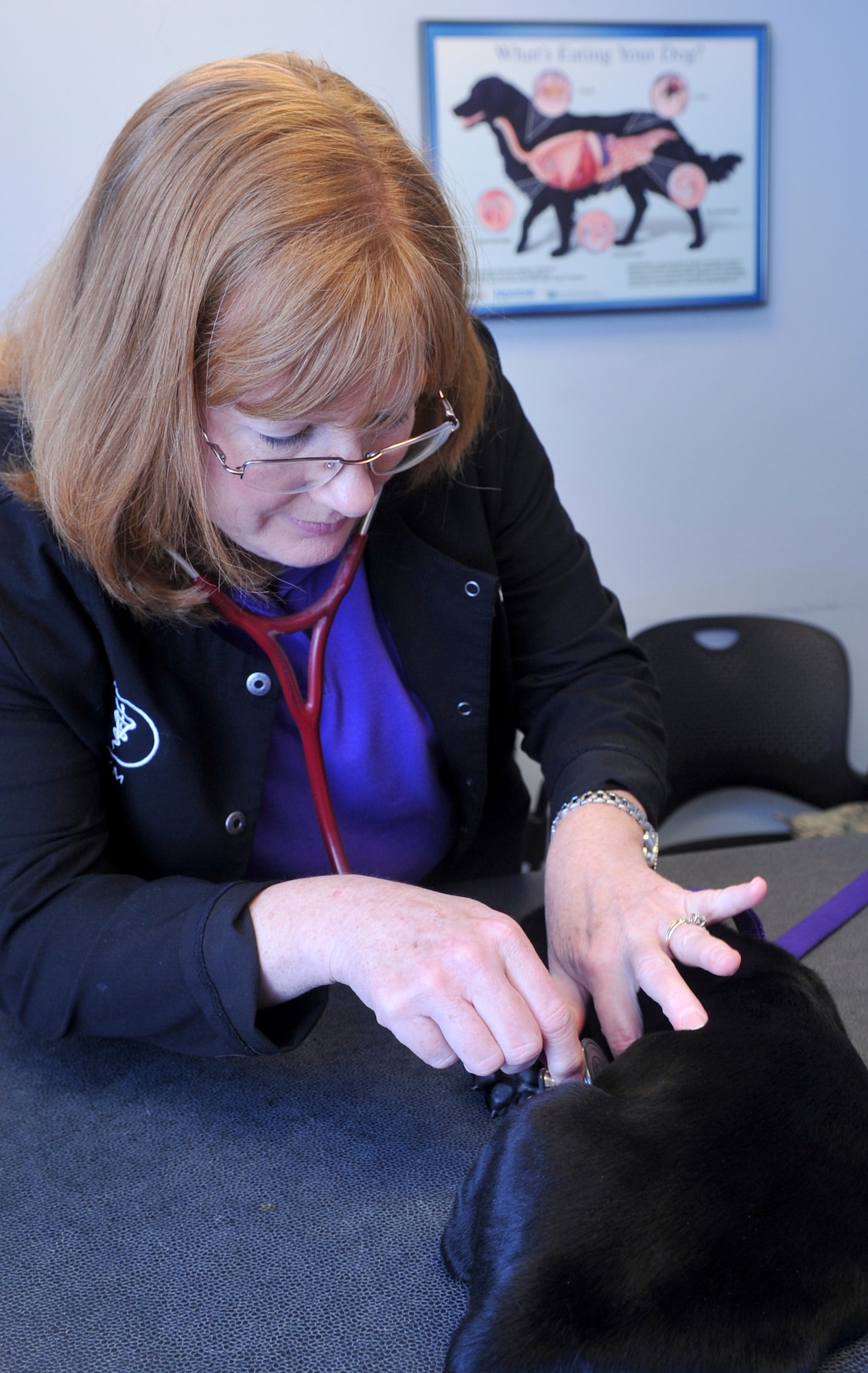 Dr. Tracy Pierce, veterinarian, checks Grace’s, an Airman’s personal pet, heartrate during an initial checkup at the base veterinary clinic at Barksdale Air Force Base, La., Dec. 8, 2015. The clinic provides vaccinations, heartworm testing and prevention, routine dentals and surgeries, feline leukemia testing, parasite control products, micro-chipping and health certificates for travel. (U.S. Air Force photo/Senior Airman Amanda Morris)