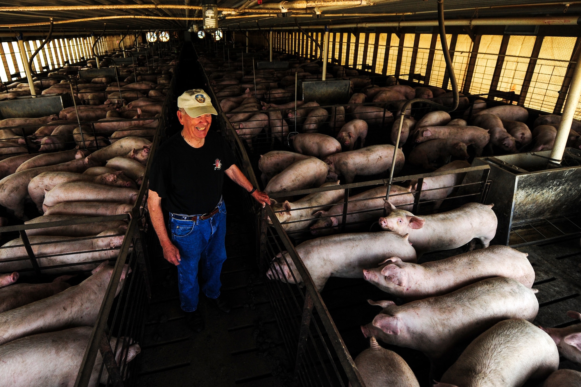 Retired U.S. Army Col. Walter “Joe” Marm checks on his hundreds of hogs, June 30, 2015, at a pig farm in Fremont, North Carolina. After retiring from the Army, Marm and his wife moved back to her hometown of Fremont, where he raises pigs and helps manage a local farm. (U.S. Air Force photo/Senior Airman Brittain Crolley)