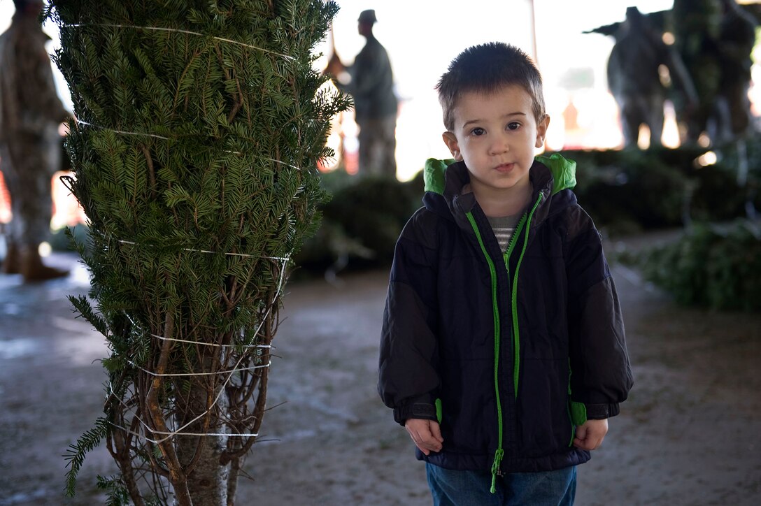 Brian Goralczk, son of U.S. Army Sgt. Stephen Goralczk, a bandsman with the 53rd U.S. Army Training and Doctrine Command, stands by the tree he picked out during the Trees for Troops event at Fort Eustis, Va., Dec. 4, 2015. This 9th annual event featured more than 400 trees given away to active-duty U.S. Service members and their dependents. (U.S. Air Force photo by Senior Airman Breonna Veal)