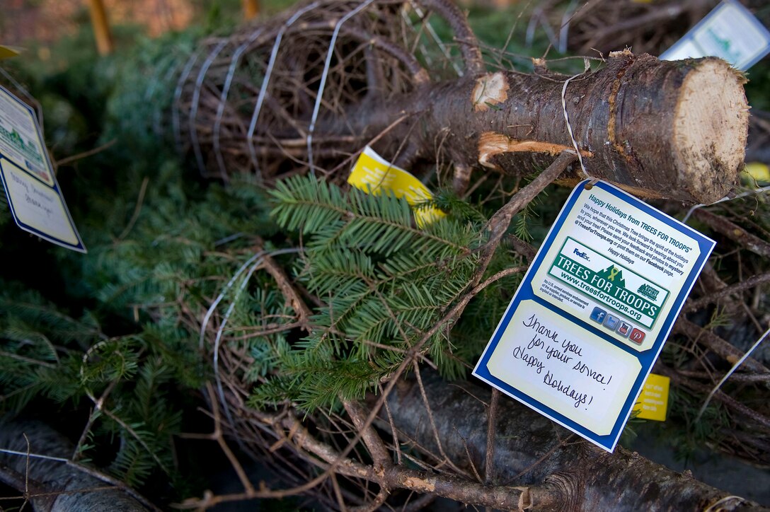 U.S. Soldiers collect and organize Christmas trees in preparation for the Trees for Troops event at Fort Eustis, Va., Dec. 4, 2015. More than 400 trees were donated to Joint Base Langley-Eustis in an effort to help U.S. Service members celebrate with traditional festive accoutrements. (U.S. Air Force photo by Senior Airman Breonna Veal) 