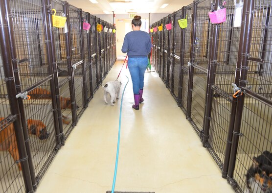 Trisha Gouldner, Yokota Pet Care Center animal care provider, takes a dog out to the enclosure at Yokota Air Base, Japan, Dec. 9, 2015. Every day, staff members feed the animals, clean the kennels and allow each dog individual time outdoors.  (U.S. Air Force photo by Airman 1st Class Elizabeth Baker/Released)