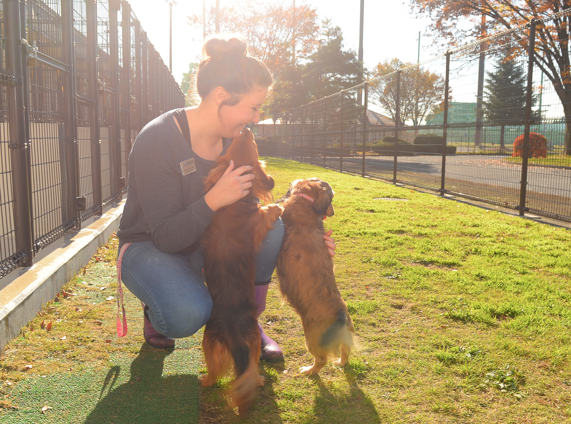 Trisha Gouldner, Yokota Pet Care Center animal care provider, plays with a customer’s dogs outside at Yokota Air Base, Japan, Dec. 9, 2015. Staff members incorporate discipline training into the way they handle the dogs so that they will be better behaved when they leave. (U.S. Air Force photo by Airman 1st Class Elizabeth Baker/Released)