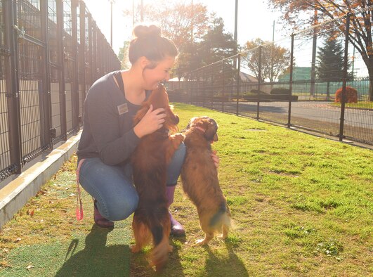 Trisha Gouldner, Yokota Pet Care Center animal care provider, plays with a customer’s dogs outside at Yokota Air Base, Japan, Dec. 9, 2015. Staff members incorporate discipline training into the way they handle the dogs so that they will be better behaved when they leave. (U.S. Air Force photo by Airman 1st Class Elizabeth Baker/Released)