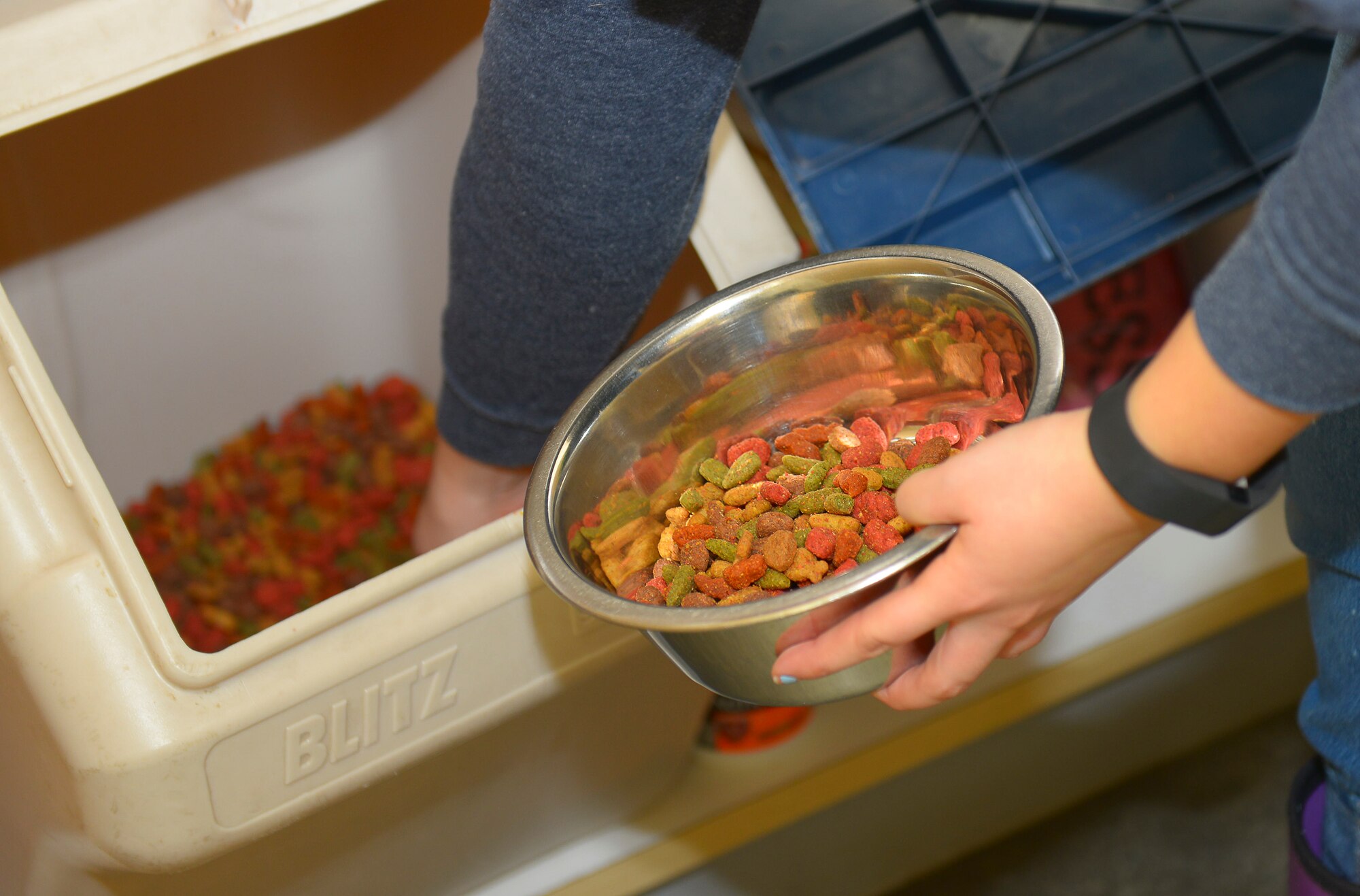 Trisha Gouldner, Yokota Pet Care Center animal care provider, measures out food for boarded dogs at Yokota Air Base, Japan, Dec. 9, 2015. Gouldner and the other pet care providers spend their mornings cleaning pet kennels and feeding and caring for boarded animals. (U.S. Air Force photo by Airman 1st Class Elizabeth Baker/Released)