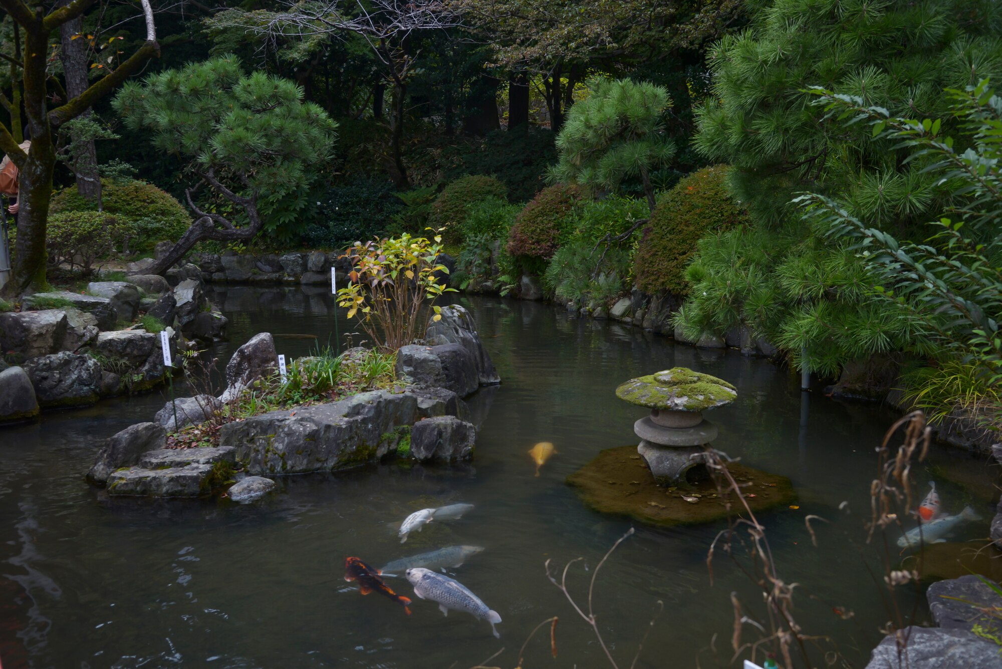 Fish swim throughout a pond within the Takahata Fudo Temple grounds in Hino City, Japan, Nov. 1, 2015. Visitors can get to the temple through the Niomon, the main gate, to view the Fudodou, the main temple, multiple buildings and 88 Buddhist statues throughout a hiking path. (U.S. Air Force photo by Senior Airman David Owsianka/Released)