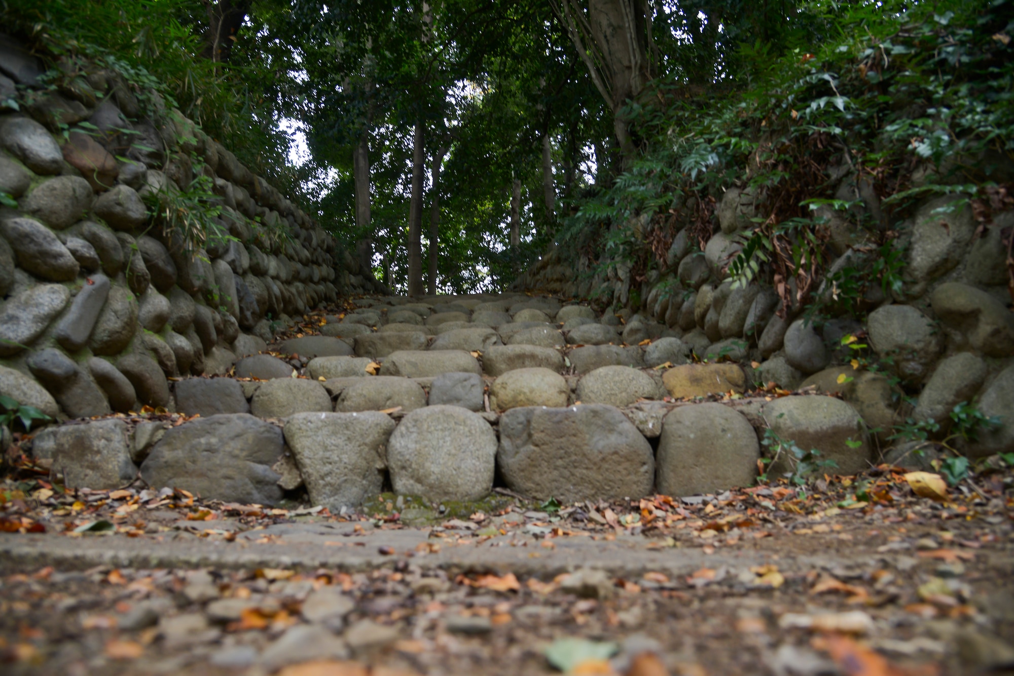 A rock stairway leads to a path on a hiking trail within the Takahata Fudo Temple grounds in Hino City, Japan, Nov. 1, 2015. There are 88 Buddhist statues along the trail that lead to an observation point and the Daishido Temple. (U.S. Air Force photo by Senior Airman David Owsianka/Released)