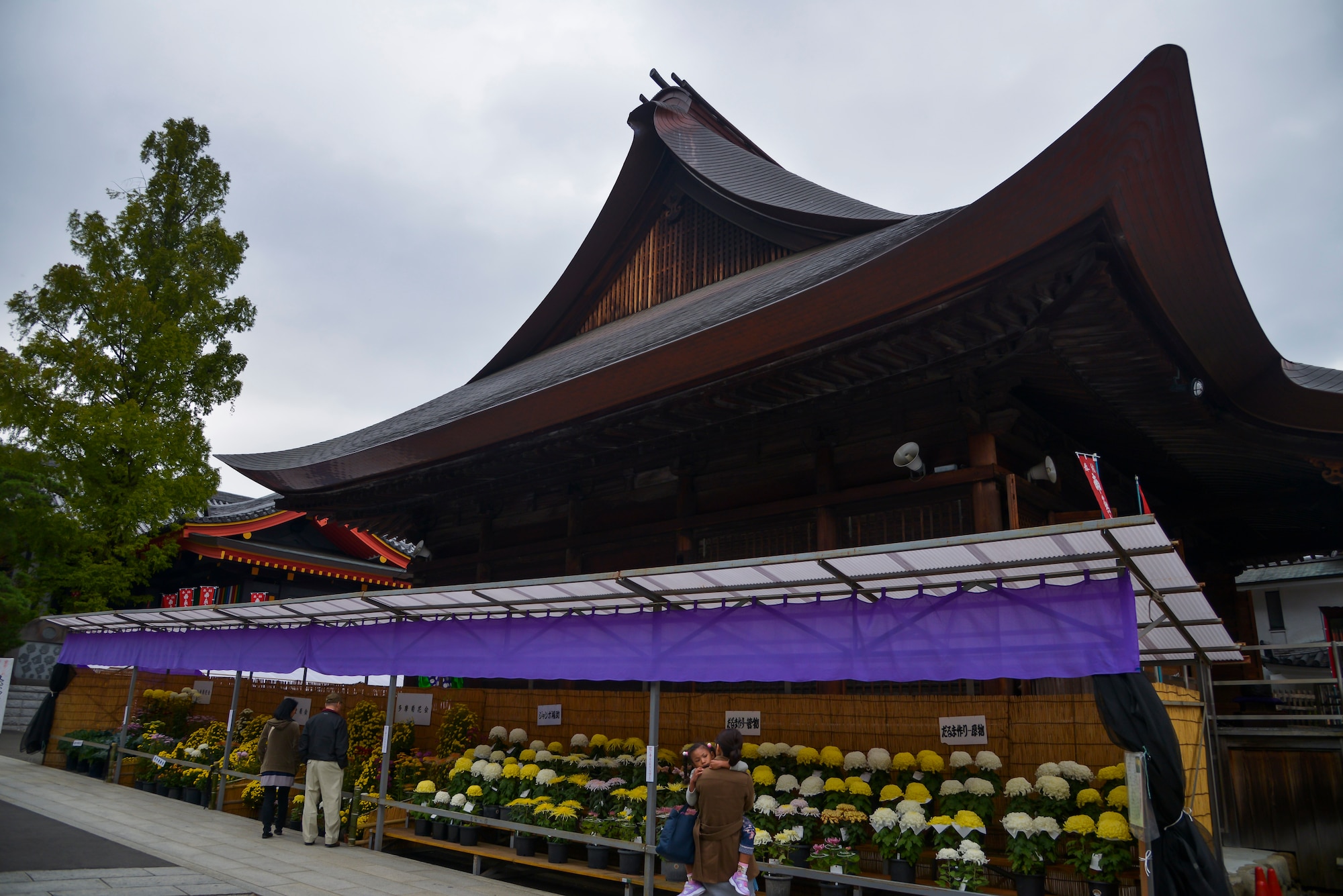 People view chrysanthemums below a building within the Takahata Fudo Temple grounds in Hino City, Japan, Nov. 1, 2015. There is a Chrysanthemum Festival held yearly, in October, and exhibits some 1,500 varieties of chrysanthemums, consisting of large blooms, cascades, bonsai shrubs, cut flowers and more.  (U.S. Air Force photo by Senior Airman David Owsianka/Released)