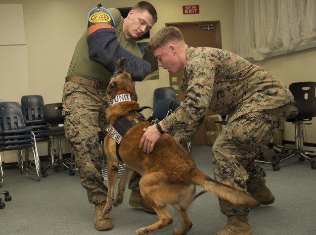 Lance Cpl. Kevin Kelly, right, military working dog handler with Headquarters and Headquarters Squadron, gives praise to his K-9 after successfully attacking Cpl. Justin Stockton, military working dog handler with H&HS, who played a simulated noncompliant suspect during night training at Marine Corps Air Station Iwakuni, Japan, Dec. 9, 2015. To ensure the safety of personnel on the air station, this training is conducted to keep military working dogs familiarized with the installation as its landscape continues to develop with the Defense Policy Review Initiative. The K-9’s are trained in the five phases of aggression, basic obedience and building searches which aid in a variety of potentially dangerous situations.
