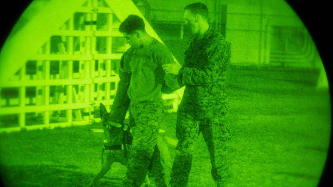 Lance Cpl. Colten Corsetti, right, military working dog handler with Headquarters and Headquarters Squadron, escorts Cpl. Brendon Teague, military working dog handler with H&HS, while Corsetti’s K-9 provides security during night training at Marine Corps Air Station Iwakuni, Japan, Dec. 9, 2015. To ensure the safety of personnel on the air station, this training is conducted to keep military working dogs familiarized with the installation as its landscape continues to develop with the Defense Policy Review Initiative. Military working dogs are trained in different abilities such as locating narcotics or explosives and conducting patrol work. 