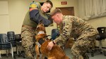 Lance Cpl. Kevin Kelly, right, military working dog handler with Headquarters and Headquarters Squadron, gives praise to his K-9 after successfully attacking Cpl. Justin Stockton, military working dog handler with H&HS, who played a simulated noncompliant suspect during night training at Marine Corps Air Station Iwakuni, Japan, Dec. 9, 2015. To ensure the safety of personnel on the air station, this training is conducted to keep military working dogs familiarized with the installation as its landscape continues to develop with the Defense Policy Review Initiative. The K-9’s are trained in the five phases of aggression, basic obedience and building searches which aid in a variety of potentially dangerous situations. 