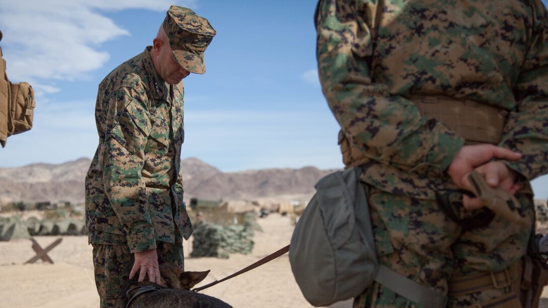 Lt. Gen. David H. Berger, I Marine Expeditionary Force commanding general, interacts with a military working dog and its handler with 1st Law Enforcement Battalion attached to 1st Marine Division, at Marine Corps Air Ground Combat Center Twentynine Palms, California, Dec. 10, 2015. Berger’s visit was to observe the division during Steel Knight, an annual training event held each winter to maintain the unit’s readiness and prepare them for world-wide deployment.