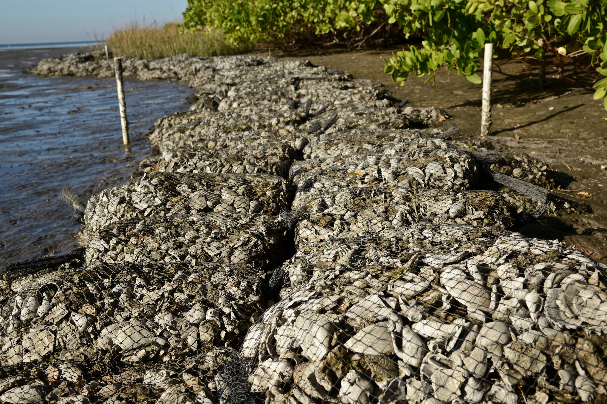 Bags of shells lay along the shoreline at MacDill Air Force Base, Fla., Dec. 11, 2015. Fourteen tons of shells were gathered, bagged, transported and used to build an oyster reef. (U.S. Air Force photo by Senior Airman Vernon L. Fowler Jr./Released)