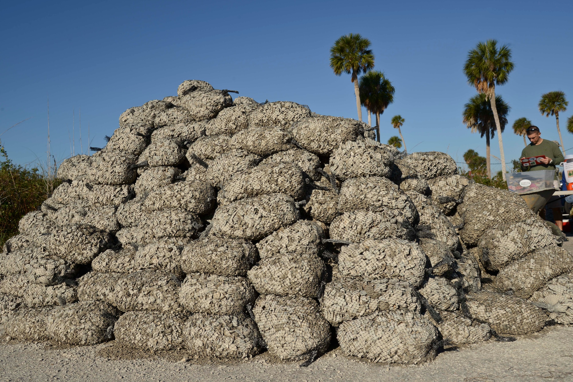 Eight hundred bags of shells sit in a pile at the Marina on MacDill Air Force Base, Fla., Dec. 11, 2015. Volunteers gathered, bagged, transported and installed 14 tons of shells to build an oyster reef habitat along the shoreline. (U.S. Air Force photo by Senior Airman Vernon L. Fowler Jr./Released)