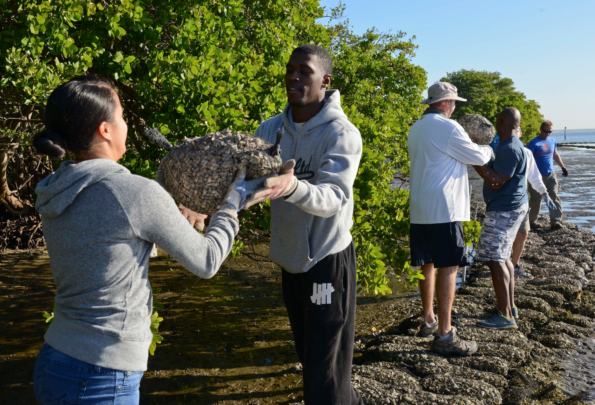 Senior Airman Christine Carragher, assigned to the 6th Aerospace Medicine Squadron, passes a bag of shells to Senior Airman Willie Mcelroy, assigned to the 6th AMDS, during an oyster reef building at MacDill Air Force Base, Fla., Dec. 11, 2015. Carragher and Mcelroy helped gather, bag, transport and use 14 tons of shells to build an oyster reef along the shoreline. (U.S. Air Force photo by Senior Airman Vernon L. Fowler Jr./Released)