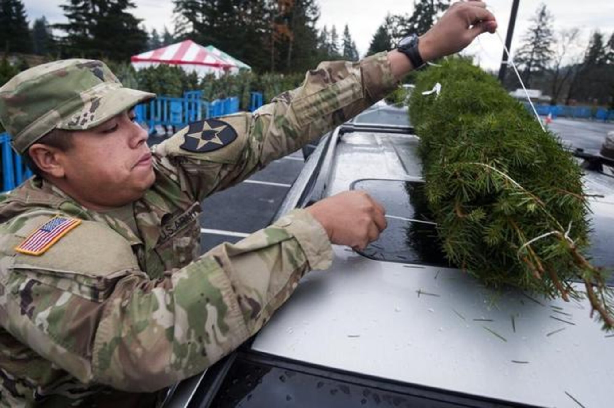 A Joint Base Lewis-McChord soldier secures a tree Dec. 2 as part of the Trees for Troops Program. (Northwest Guardian)