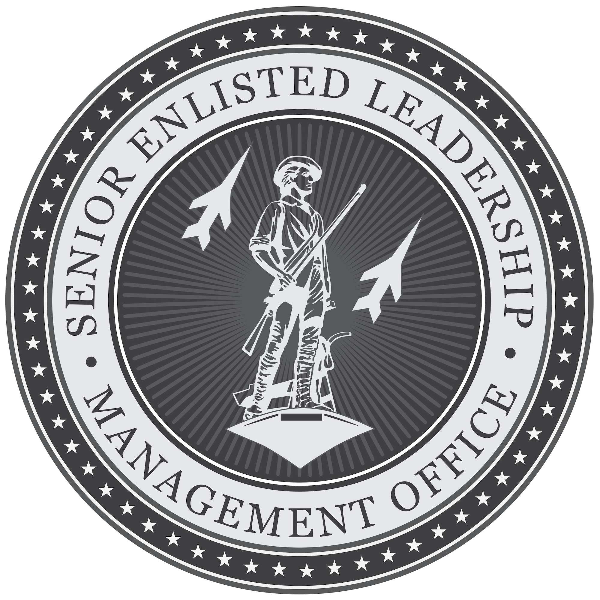 The Air National Guard Senior Enlisted Leadership Management Office was established to ensure that Air National Guard senior enlisted leaders receive the same opportunities for development currently offered to the active component. This would better allow the ANG's voice to be heard throughout the Air Force. (U.S. Air National Guard graphic illustration)