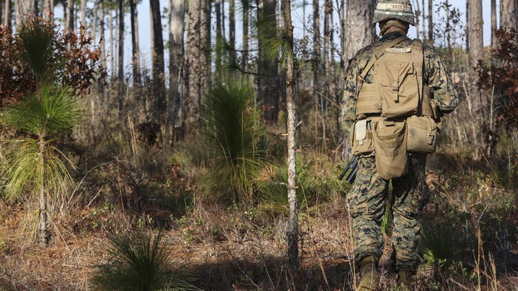 A Marine with 3rd Battalion, 6th Marine Regiment, conducts a patrol during a battalion exercise at Marine Corps Base Camp Lejeune, N.C., Dec. 10, 2015. The battalion-wide exercise will prepare the battalion for their upcoming participation in Talon Ex, held at Marine Corps Air Station Yuma, Ariz. 