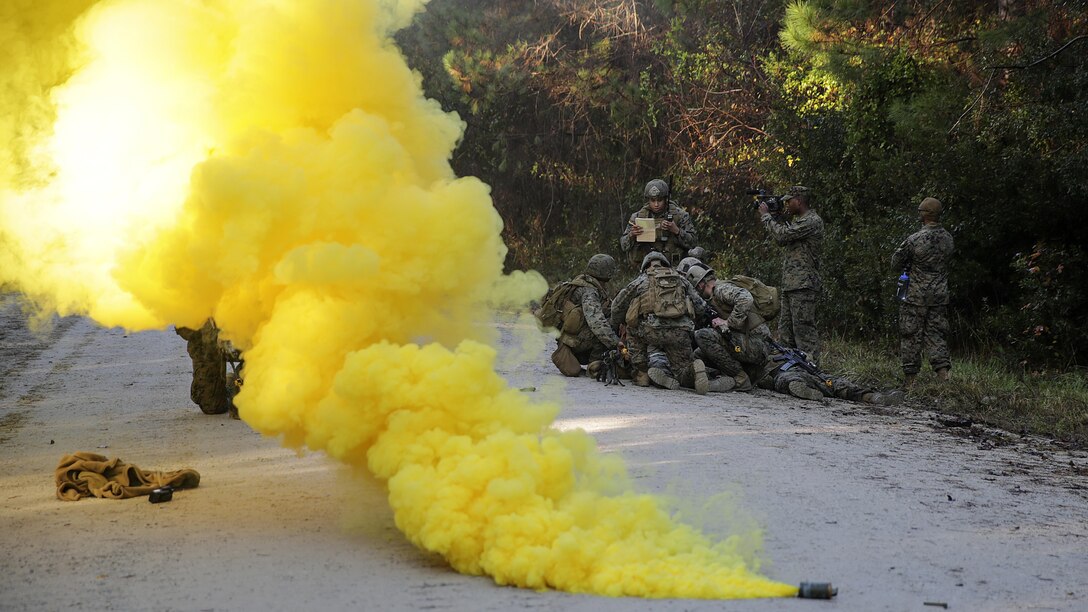 Marines with 2nd Air Naval Gunfire Liaison Company, II Marine Headquarters Group, secure an area with coalition force role players at Marine Corps Base Camp Lejeune, N.C., during a Security Assistance Liaison Team training exercise to improve their ability to work with coalition forces, Dec. 10, 2015.  The Security Assistance Liaison Team will support Operation Resolute Support in Afghanistan under the authority of United Nations Security Council Resolution 2189.  