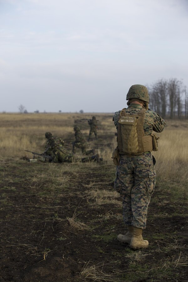 U.S. Marines with Combined Arms Company, Black Sea Rotational Force, conduct field training with Romanian and Moldovan armed forces during Platinum Lynx 16-2 at Smardan Training Area, Romania, Dec. 9, 2015. Exercise Platinum Lynx 16-2 is a NATO-led multinational exercise designed to strengthen combat readiness, increase improve collective capabilities, and maintain proven relationships with allied and partner nations. (U.S. Marine Corps photo by Lance Cpl. Melanye E. Martinez/Released)