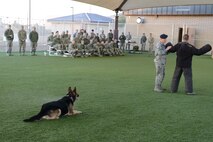Senior Airman Sean McFadden, 56th Security Forces Squadron military working dog handler, searches a suspect while under watch from Maxo, 56th SFS MWD, during a demonstration for students attending Airman Leadership School at Luke Air Force Base, Arizona, Dec. 15, 2015. (U.S. Air Force photo by Senior Airman James Hensley)