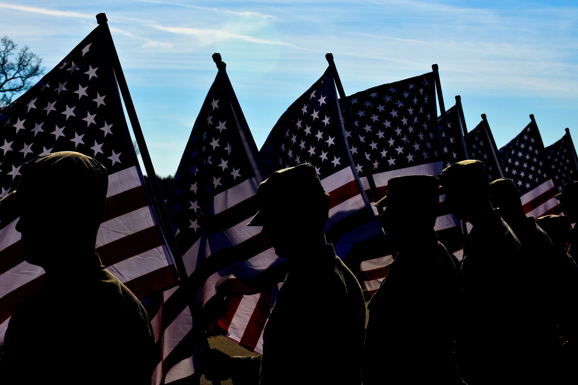 Airmen assigned to the 4th Civil Engineer Squadron hold flags, Dec. 12, 2015, at the Evergreen Memorial Cemetery in Princeton, North Carolina, during the annual Wreaths Across America event. Approximately 25 service members from Seymour Johnson Air Force Base, North Carolina participated in the ceremony by holding flags, speaking and passing out wreaths to be laid on headstones. (U.S. Air Force photo/Senior Airman Aaron J. Jenne)