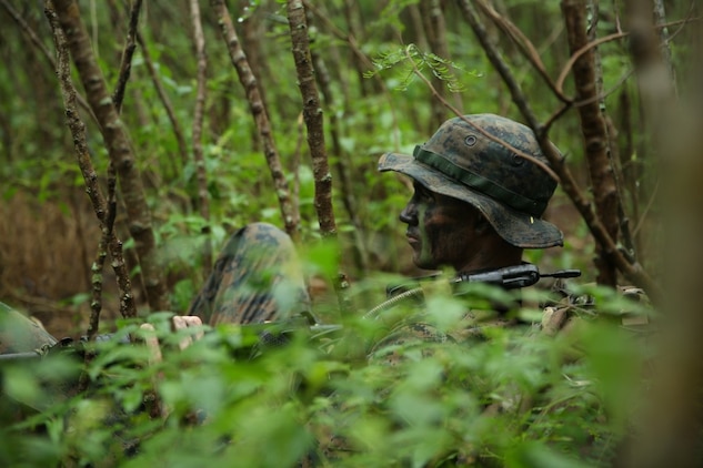 Rumble in the Jungle: 1st Recon Marines train in Hawaii > 1st Marine ...