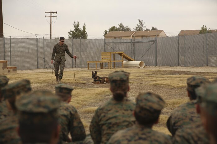 Lance Cpl. Cole Coburn, military working dog handler, Provost Marshal’s Office, prepares a K-9 demonstration for Basic Academy of International Studies Marine Corps Junior Reserve Officers Training Corps cadets during a tour of the Combat Center, Dec. 4, 2015. (Official Marine Corps photo by Cpl. Medina Ayala-Lo/Released)