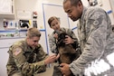 Army Pfc. Richard Schmidt, a veterinary technician at Public Health Command District-Japan’s Okinawa branch, prepares to administer a shot to Ayila, an 18th Security Forces Squadron military working dog, while 18th SFS MWD handlers comfort her during an annual dental examination Dec. 9, 2015, at the veterinary  treatment facility on Kadena Air Base, Japan. MWD dental examinations are recommended at least once a year to ensure they remain healthy. (U.S. Air Force photo/Naoto Anazawa)