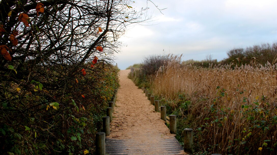 U.S. Marine noncommissioned officers of U.S. Marine Corps Forces Europe and Africa visited Normandy, France, Dec. 11-13, for a battle-field study of the historic amphibious Allied landings during World War II, also known as D-Day. The Marine NCOs are the backbone of the service component operations for U.S. European Command that supports numerous NATO-led operations and exercises in Europe that enables the Alliance to continue their proven, enduring partnerships. 