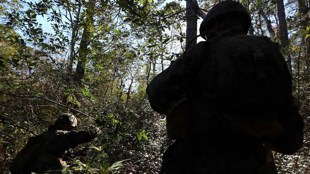 Marines with 2nd Light Armored Reconnaissance Battalion navigate through the woods during a patrolling exercise at Marine Corps Base Camp Lejeune, N.C., Dec 15, 2015. The unit practiced patrolling techniques and set up patrol bases to maintain readiness. 