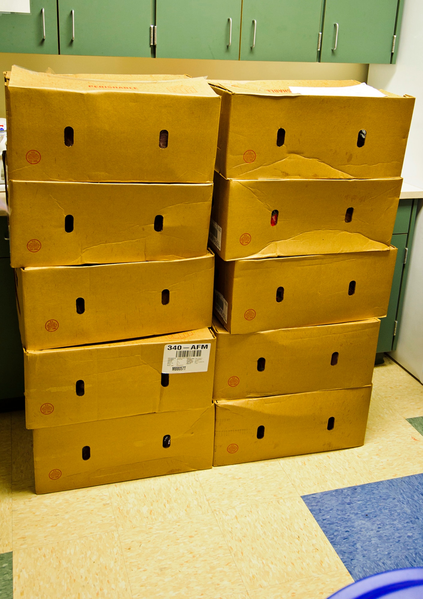 More than 40 hams wait at the 446th Airlift Wing Annex here, Dec. 17, 2015 to be taken in by various Reserve family homes. The hams were donated to the wing as part of Operation Ham Grenade, which local community leaders, organizations, and individuals donate them to Airmen for their holiday dinners. The 446th AW Care and Share program, which hosts food drives, adds the hams to food baskets that are given to Reserve families who endure financial stress during the holiday season.