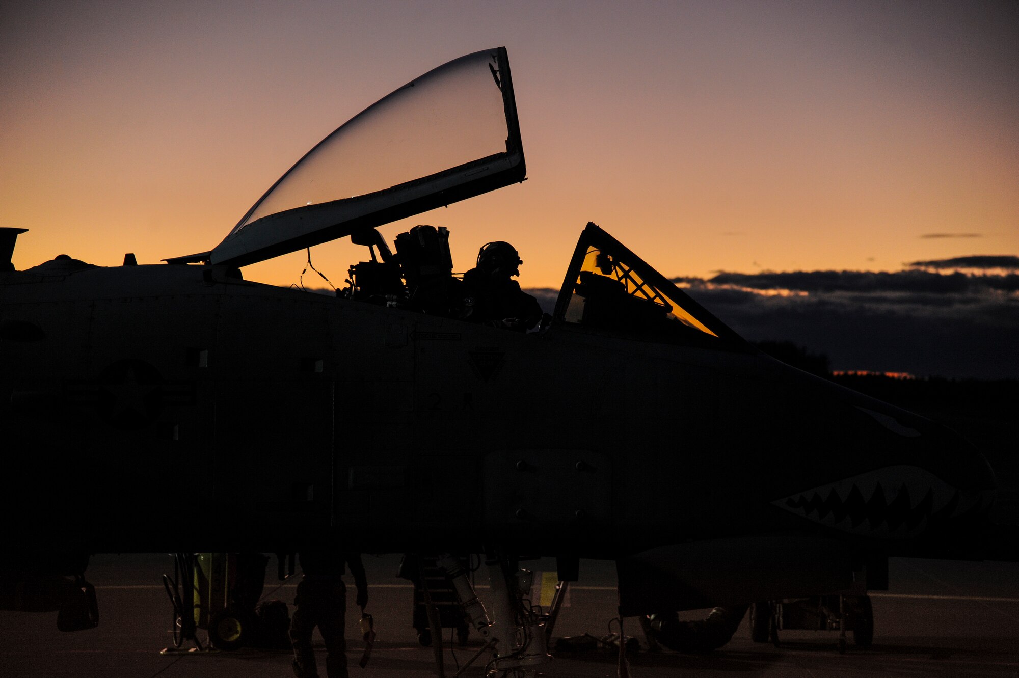 U.S. Air Force Capt. Chandra Fleming, 74th Expeditionary Fighter Squadron pilot, preforms pre-flight inspections in the cockpit of an A-10 Thunderbolt II attack aircraft on the flightline, Nov. 23, 2015, at Amari Air Base, Estonia. Pilots from 74th EFS capitalized on Estonia’s early sunset to maintain proficiency in night-flying operations. (U.S. Air Force photo by Andrea Jenkins/Released)