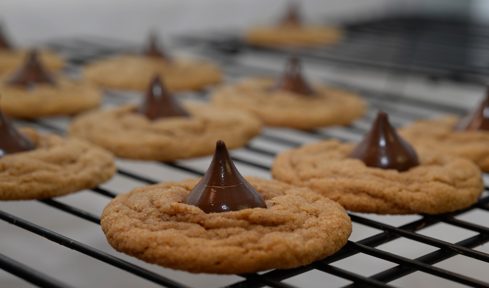 A batch of cookies cools in a pan at Ellsworth Air Force Base, S.D. Dec. 13, 2015. The Enlisted Spouse’s Club baked and collected cookies for Ellsworth Airmen residing in the dorms as part of their 4th annual Holiday Cookie Drive. (U.S. Air Force photo by Airman Donald C. Knechtel/Released)