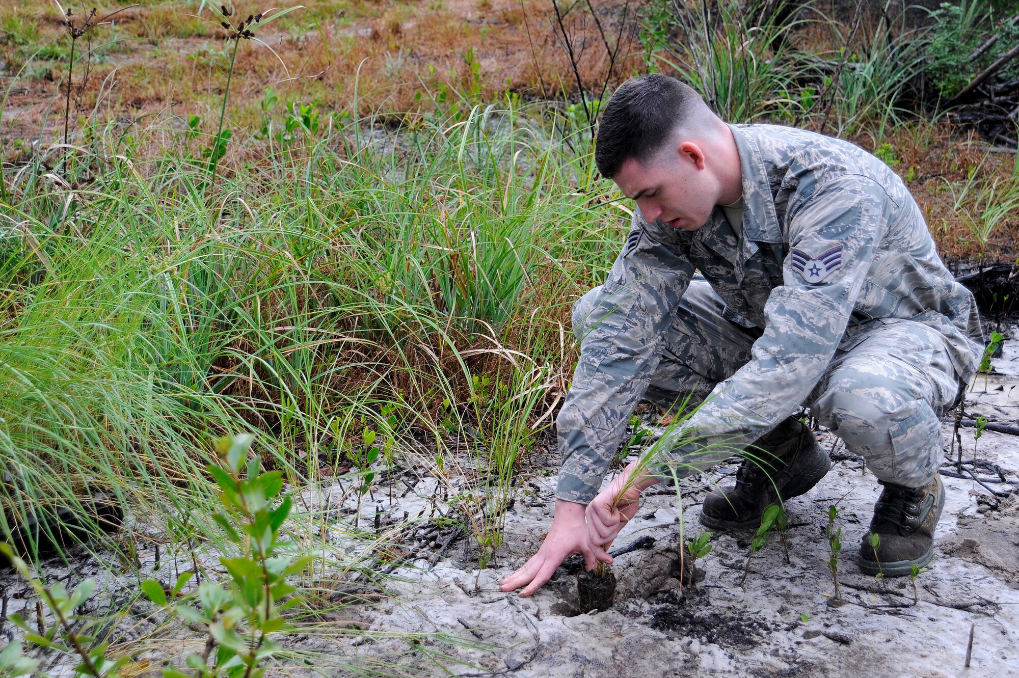 Senior Airman Evan Boone, an ammunitions accountability specialist with the 6th Maintenance Squadron, covers a plant with dirt during the Wing’s Arbor Day event Dec. 18, 2015, at MacDill Air Force Base, Fla. The planting of the various vegetation helps stabilize the soil and reduce erosion possibilities and return its ecologic value. (U.S. Air Force photo by Airman 1st Class Mariette M. Adams)