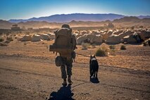 Corporal Jared Royce, a military working dog handler with 1st Law Enforcement Battalion, I Marine Expeditionary Force, returns from a patrol with his dog, Hugo, aboard Marine Corps Air Ground Combat Center Twentynine Palms, Calif., Dec. 12, 2015. Steel Knight prepares Marines and sailors with the 1st Marine Division and adjacent I Marine Expeditionary Force units with the skill sets necessary to operate as a fully capable Marine Air Ground Task Force.  (U.S. Marine Corps photo by Cpl. Will Perkins/RELEASED)
